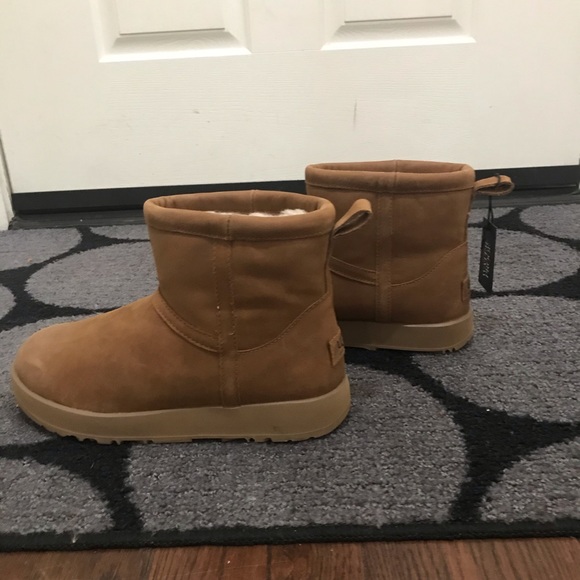 Women’s UGG - Classic mini leather waterproof boot - Picture 6 of 6